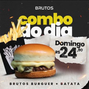 BRUTOS BURGUER +BATATA