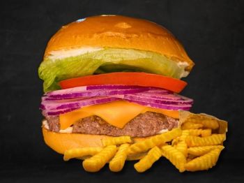 MASTER BURGUER