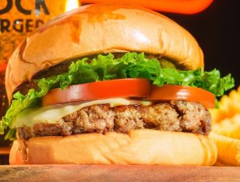 THE DOORS - CHEESE SALADA