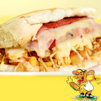 CACHORRO ESPECIAL
